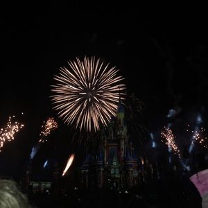 Meet your Posher, Maxine